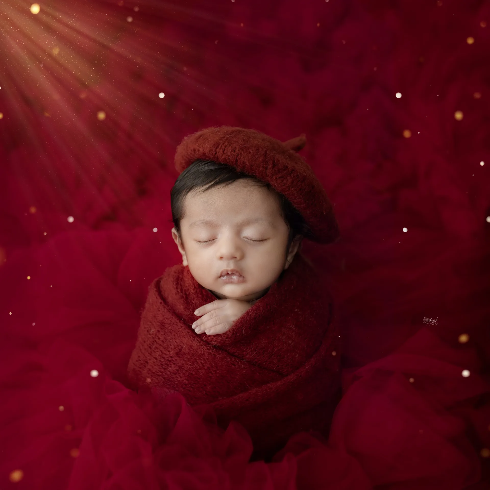 Anny's World Newborn